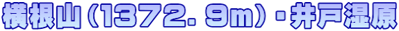 横根山（１３７２．９ｍ）・井戸湿原